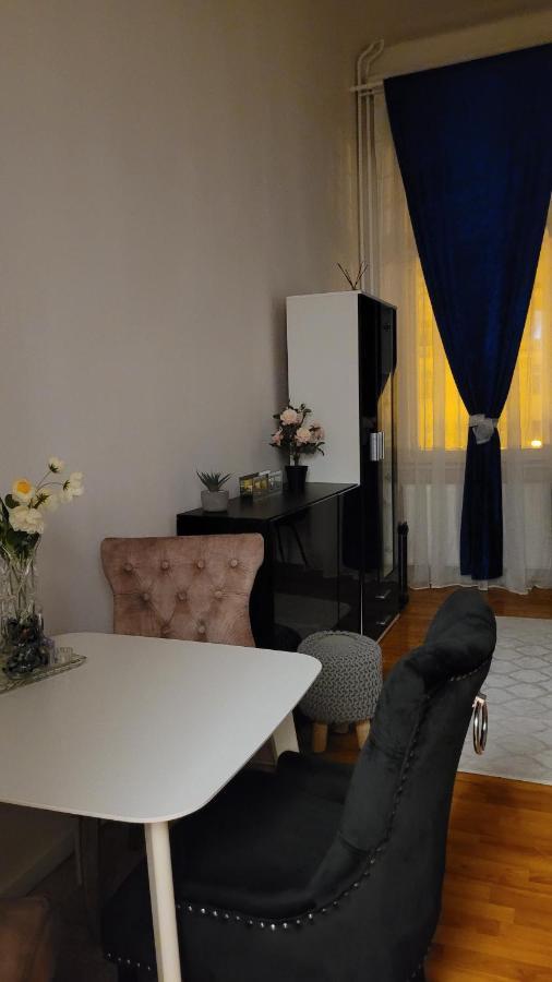 Opera Victoriei Residence - Ultracentral Cozy Accommodation Temešvár Exteriér fotografie