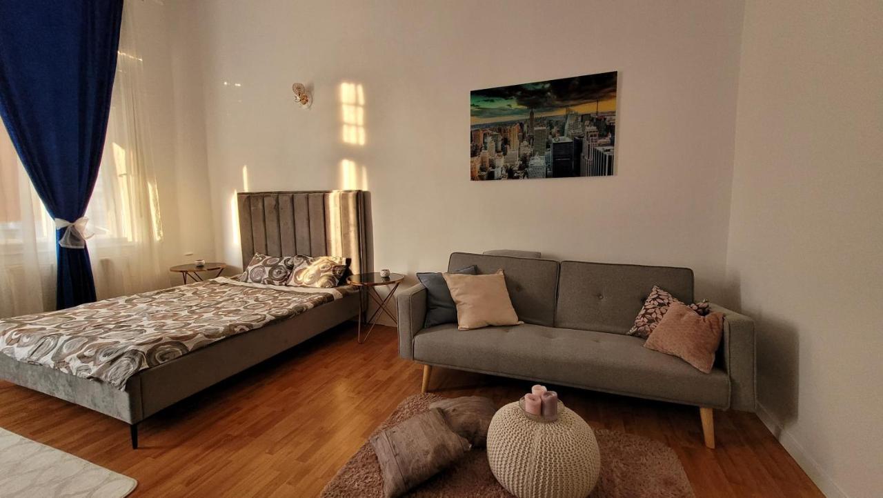 Opera Victoriei Residence - Ultracentral Cozy Accommodation Temešvár Exteriér fotografie