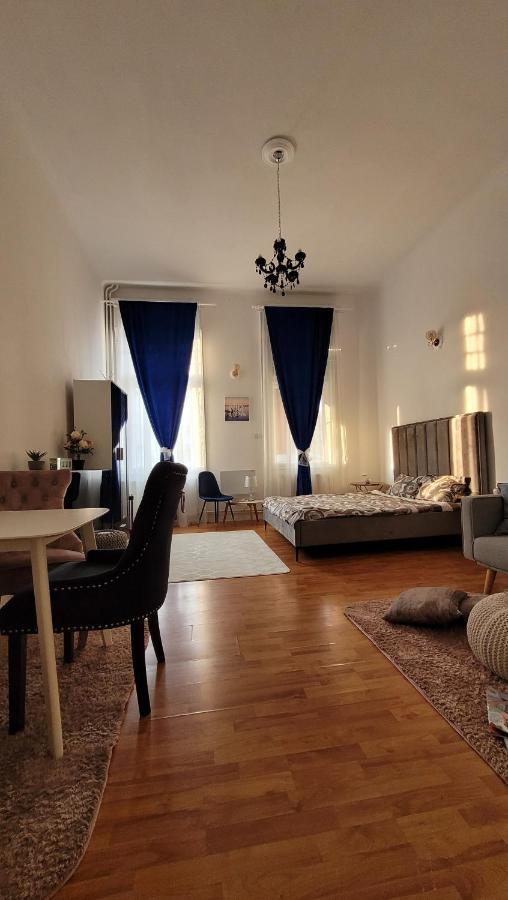Opera Victoriei Residence - Ultracentral Cozy Accommodation Temešvár Exteriér fotografie