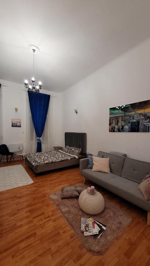 Opera Victoriei Residence - Ultracentral Cozy Accommodation Temešvár Pokoj fotografie