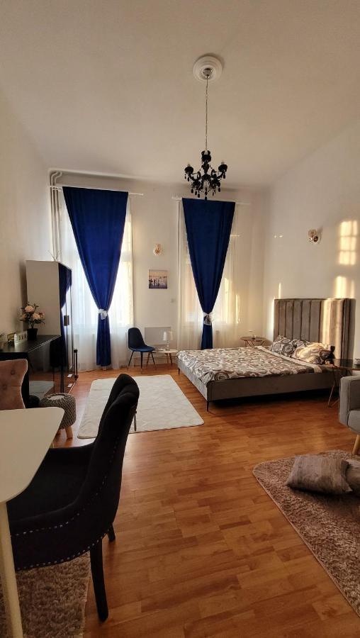 Opera Victoriei Residence - Ultracentral Cozy Accommodation Temešvár Exteriér fotografie